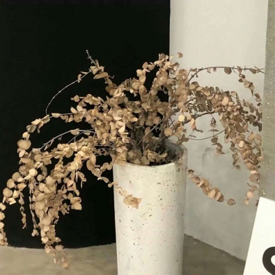 Furry绘画光影技巧兽圈群